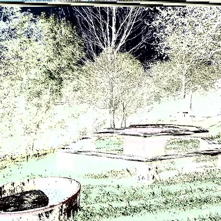 4 Bedroom Lovely In Kostel