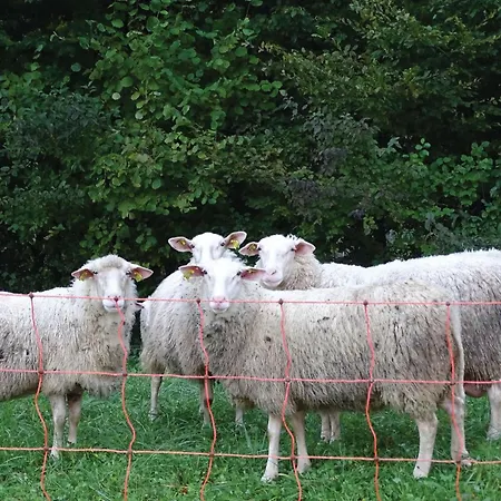 4 Bedroom Lovely In Kostel